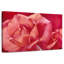 Harnek rose brillant-108154941