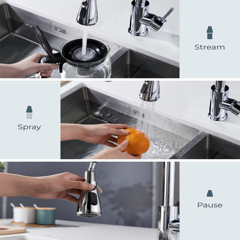 Brayden Studio Caide Kitchen Faucet