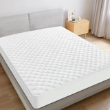Venango Waterproof Fitted Mattress Protector Case Pack