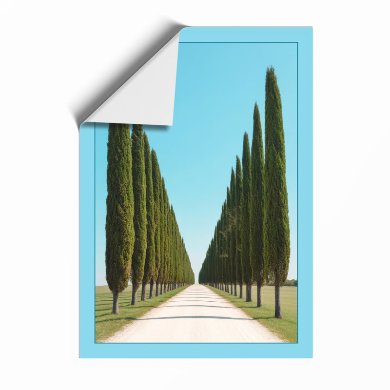 Cypress Avenue Minimalist - Print, Unframed, A3 - 42.0 x 29.7 cm