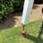 Rectangle Address Post-1127134962