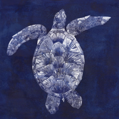 Tortue de mer ombre II