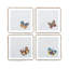 Flutter and Lace Cocktail Napkins 6x6 Inch
