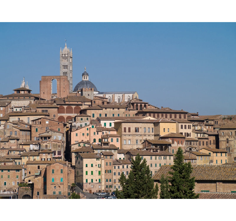 Paysage urbain et cathédrale de Sienne, 28'' H x 37'' W