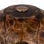 Lampe de table tortue en verre et fer