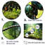 «Forest Guardian Green Ant - Animal Ant», ensemble de reproduction d'art mural-107738627