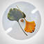 Gracie Oaks Bouse Wood Serving Bowl
