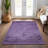 Flatweave Washable Oriental Indoor / Outdoor Rug-194658177