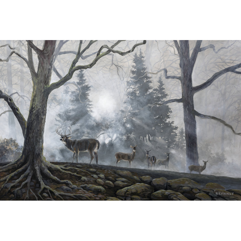 Deer Path I - Wrapped Canvas Painting, 30cm H x 46cm W