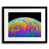 Black Framed Paper selected