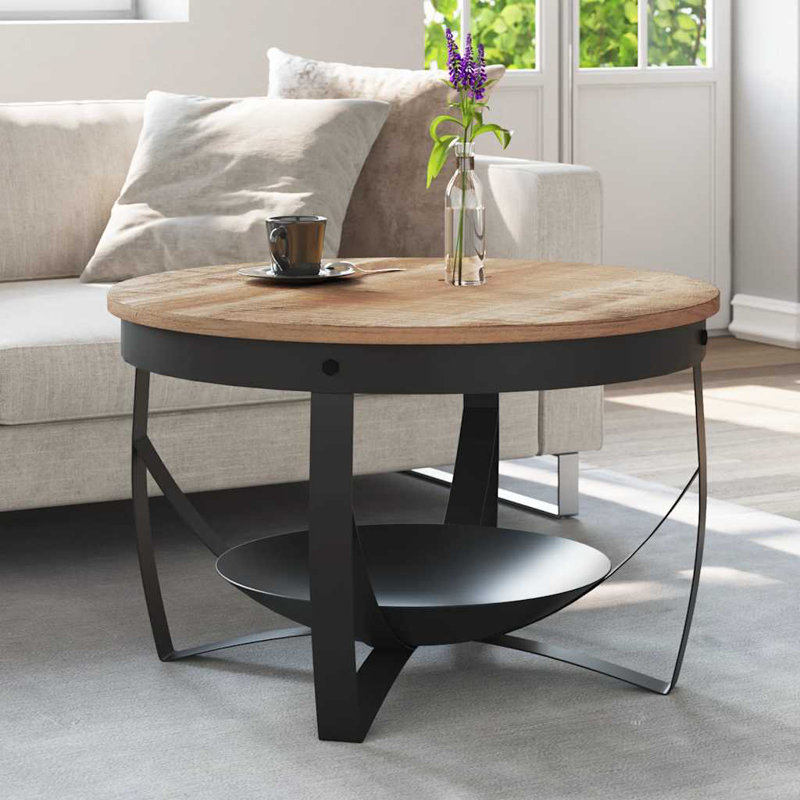 Ediberto Frame Single Coffee Table with Storage