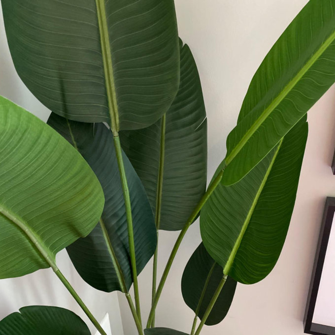 Primrue Artificial Banana Tree & Reviews | Joss & Main