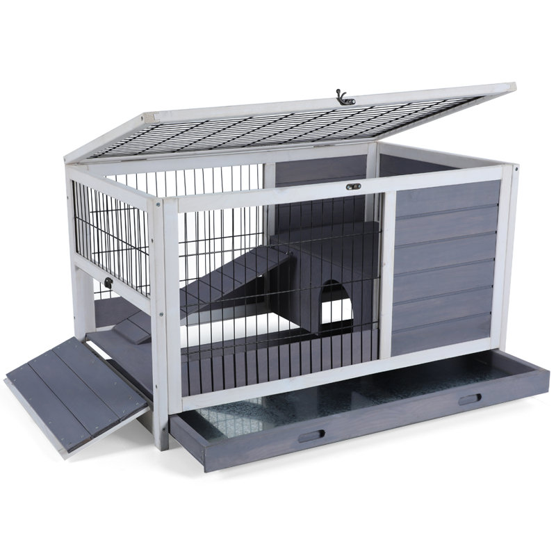 Cage à cobaye avec rampe Cleavon, Petit (H 21 po x l 35,5 po x L 21 po)
