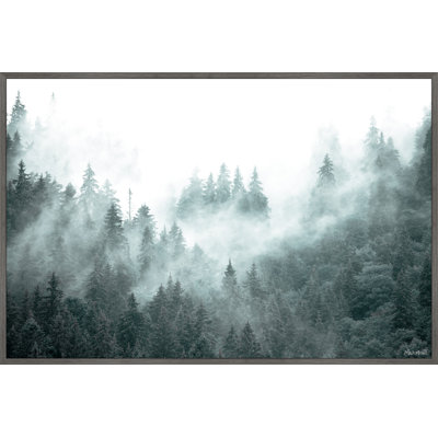 " Through The Woods "