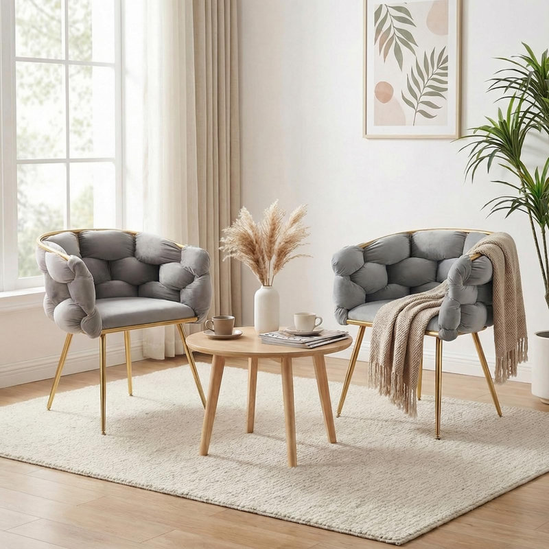 Modern Living Room Chairs Velvet Accent Chairs Set of 2, Gray