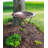 24" Classic Copper Birdbath with Ring Stand