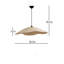 1 - Light Chandelier