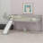Loft Bed With Slide-419972221