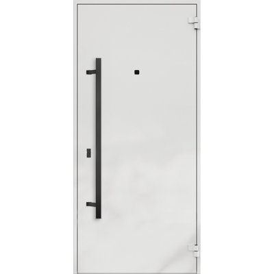 Front Exterior Prehung Steel Door / Deux 6072 Black Enamel / Entry Metal Modern Painted W36" x H80" Left hand Inswing