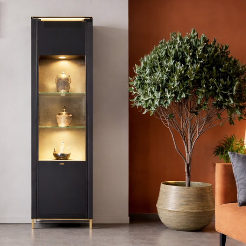Akilia Display Cabinet, Black/Gold