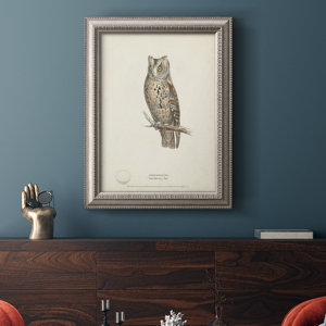 Millwood Pines Scops- Eared Owl Framed On Canvas Painting | Wayfair