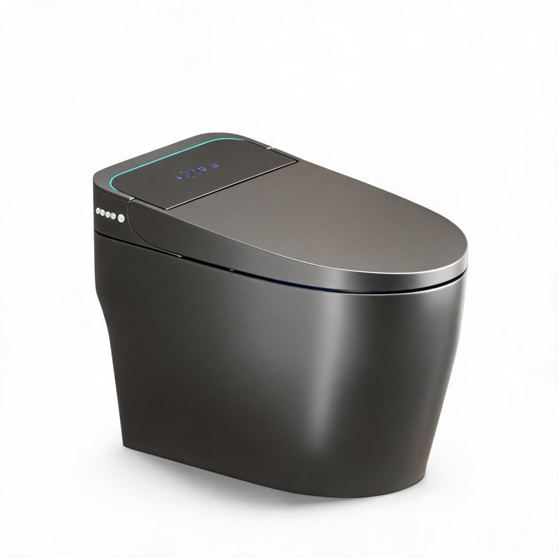 Toilettes monobloc intelligentes en céramique grise avec bidet intégré et ouverture/fermeture automatique de l'abattant