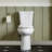 19.5''Tall Comfortable SeatHeight Elongated Two-Piece Floor Mounted Toilet (Seat Included)-100864815