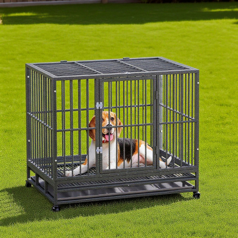 Cage en métal robuste pour chenil