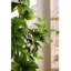 Plantes et arbres en plastique vert 9,65 po