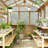6Ft X 8Ft Solid Wood Walk-in Polycarbonate Greenhouse with UV Protection