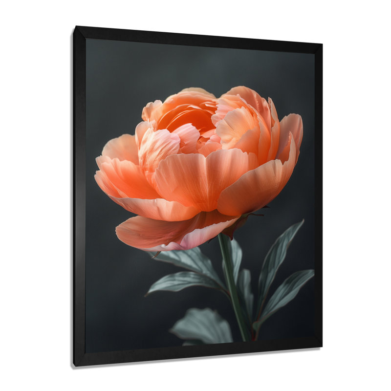 Verre, pivoines roses, rendez-vous romantique II - pivoines, art mural, H 12 po x l 20 po, Cadre noir
