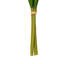 Vickerman 16"H Plum Tulip Bundle of 5.-1404122198