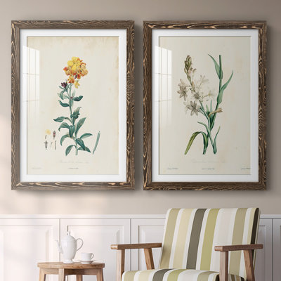 «Traditional Botanical III», reproduction encadrée de qualité supérieure - prête à être accrochée