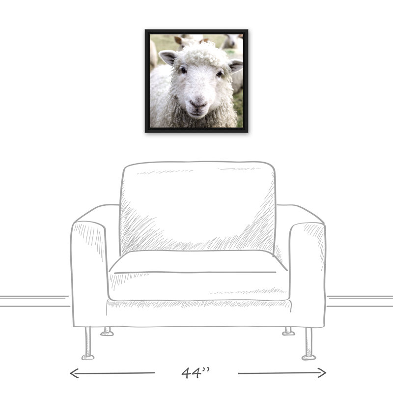 Curious Sheep, reproduction d'art sur toile, H 13,75 po x l 13,75 po x P 1,75 po