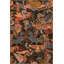 Base tissée à motif animal et housse lavable-258400735