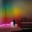 Casperson 150cm LED Novelty Floor Lamp
