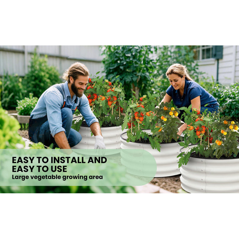 Metal Raised Garden Bed, White, 30cm H x 60cm W x 60cm D