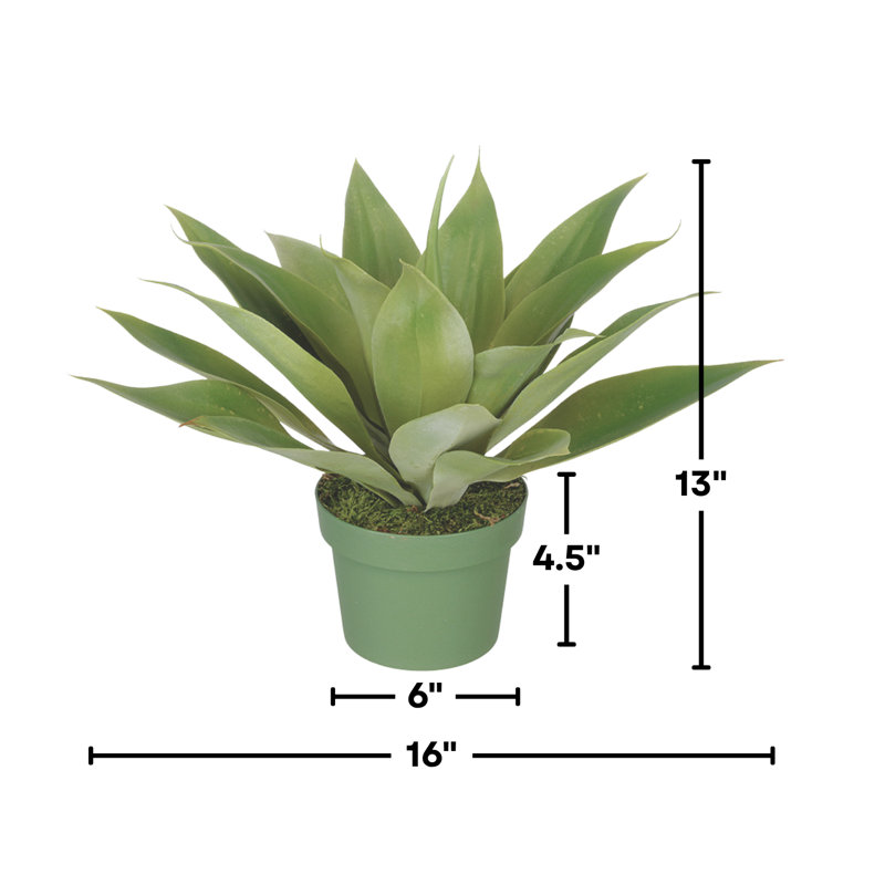 Plante grasse artificielle en pot, H 13 po x l 16 po x P 16 po