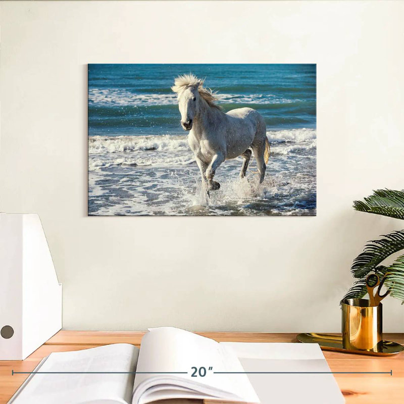 Brampt Camargue qui court sur la plage, H 8 po x l 12 po
