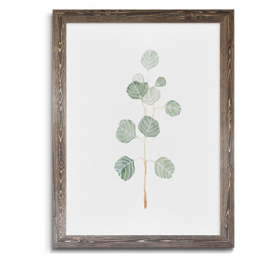 " Soft Eucalyptus Branch II " Painting Print
