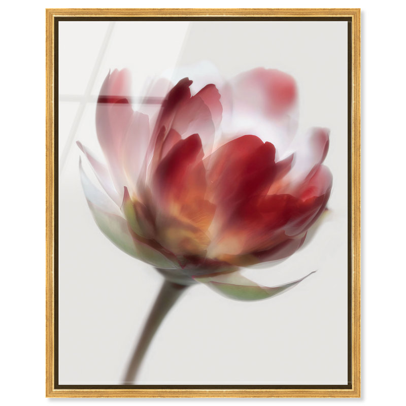Crimson Core II High-Gloss Frameless Acrylic Glass Wall Art Abstract Print by Oliver Gal, Ready to Hang, 16 x 20, 17"H x 21"W