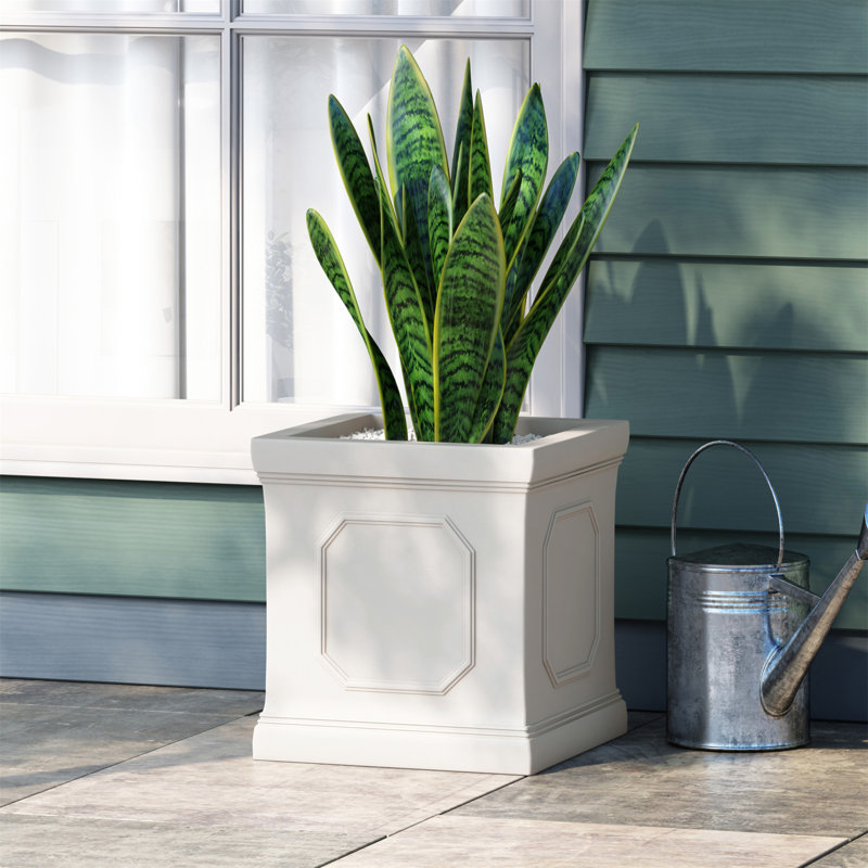 Exquisite Concrete Planter For Gardening Enthusiasts, Adding Elegance And Style To Your Home