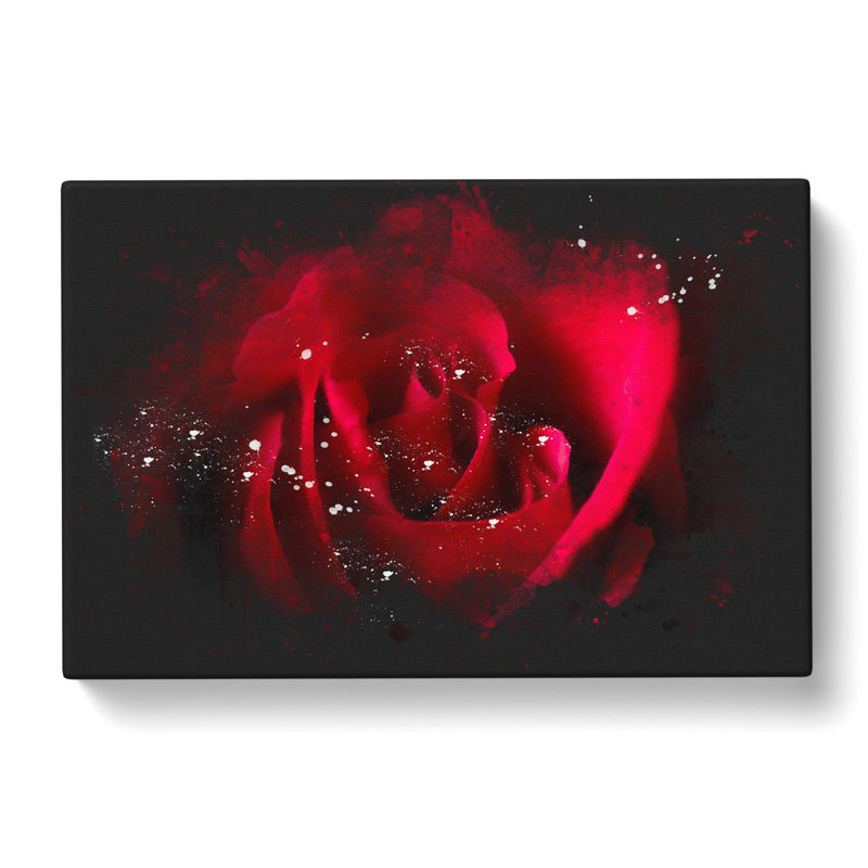 The Beauty Of A Red Rose - Wrapped Canvas Print, 60cm H x 91cm W x 3cm D