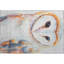 Tapis Premium lavable à la machine Mayfield AMF2280-48038121-48038161