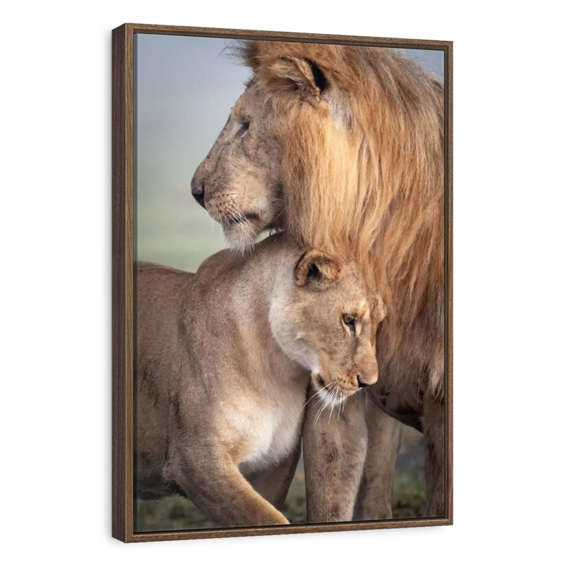 Amour sauvage, 9" x 13", Cadre flottant noyer