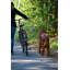 Cousins Dog Bicycle Leash