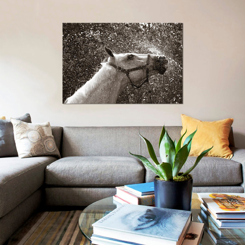 «After a Shower» par Jim Dratfield, reproduction sur toile tendue avec châssis, H 18 po x l 26 po x P 1,5 po, Pas de tapis
