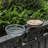 Bernadea Pole Tray Bird Feeder