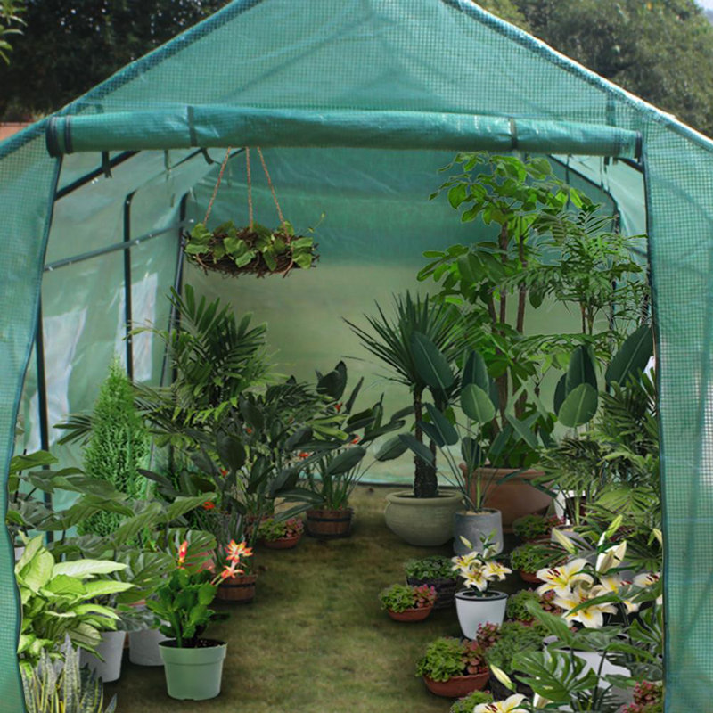 7 Ft W x 15 Ft D Greenhouse