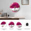 Horloge murale cerise-973125427
